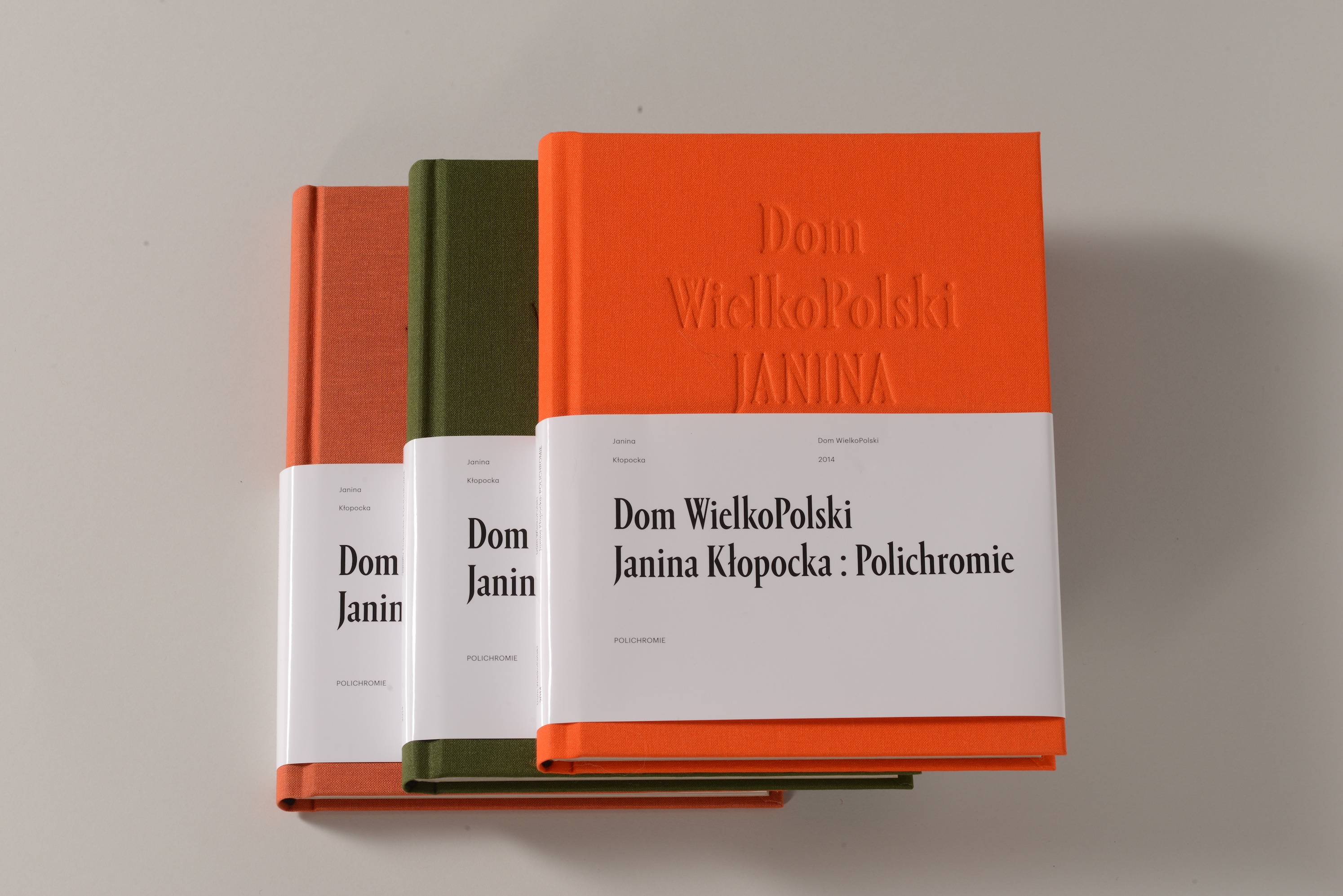Dom WielkoPolski: Janina Kłopocka - Polichromie (2014')
